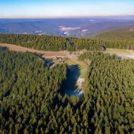 Luftaufnahme eines dichten Nadelwalds im Schwarzwald mit einer zentralen Lichtung und Forstwegen, dahinter sanfte Bergkämme und eine kleine Ortschaft am Horizont.