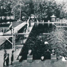 Historisches Schwarz-Weiß-Foto eines Freibads mit Sprungturm und Sprungbrettern, mehreren Schwimmern im Becken und Zuschauern am Beckenrand; Bäume im Hintergrund.